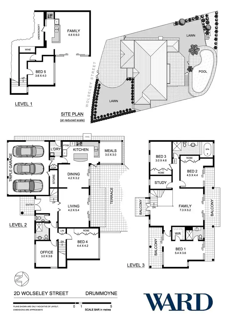 Floorplan of Homely house listing, 2D Wolseley Street, Drummoyne NSW 2047