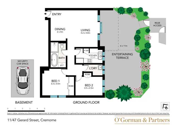 Floorplan of Homely apartment listing, 11/47 Gerard Street, Cremorne NSW 2090