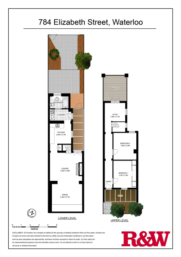 Floorplan of Homely terrace listing, 784 Elizabeth Street, Waterloo NSW 2017