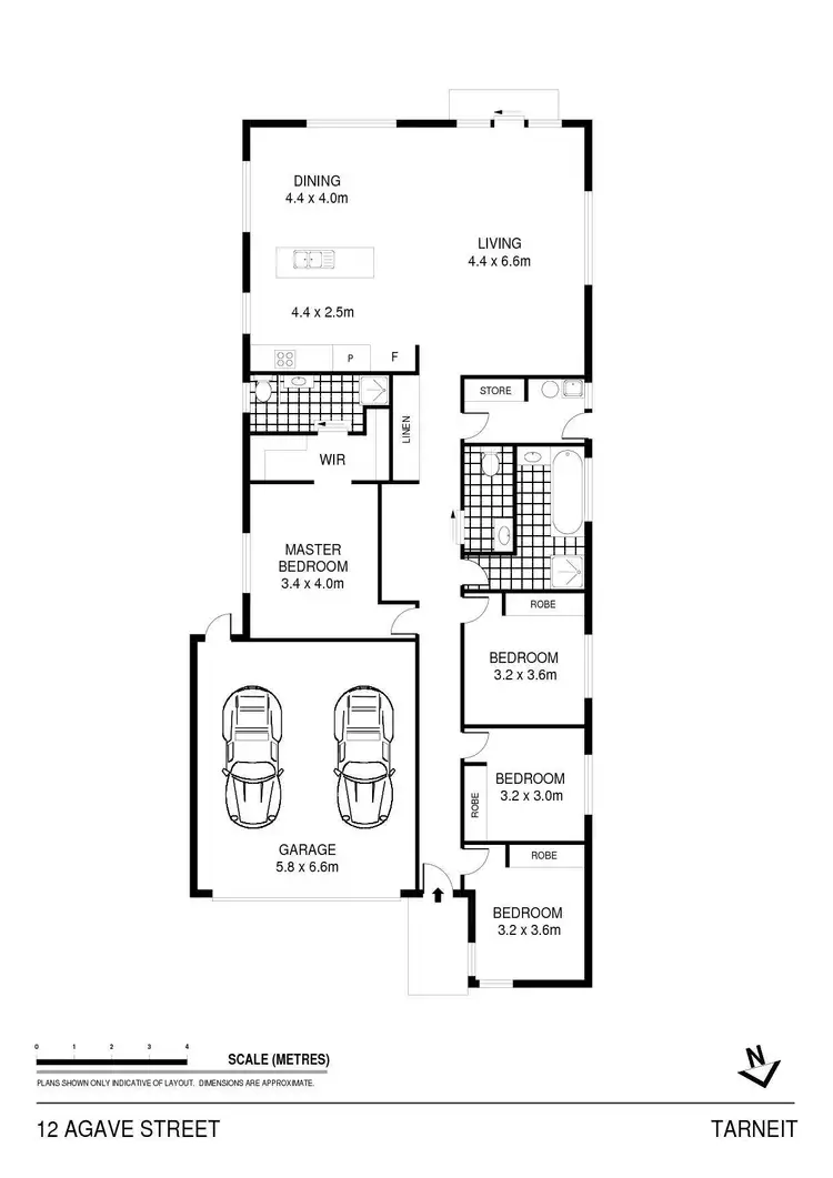 Floorplan of Homely house listing, 12 Agave Street, Tarneit VIC 3029