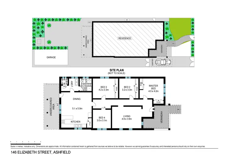 Floorplan of Homely house listing, 146 Elizabeth Street, Ashfield NSW 2131