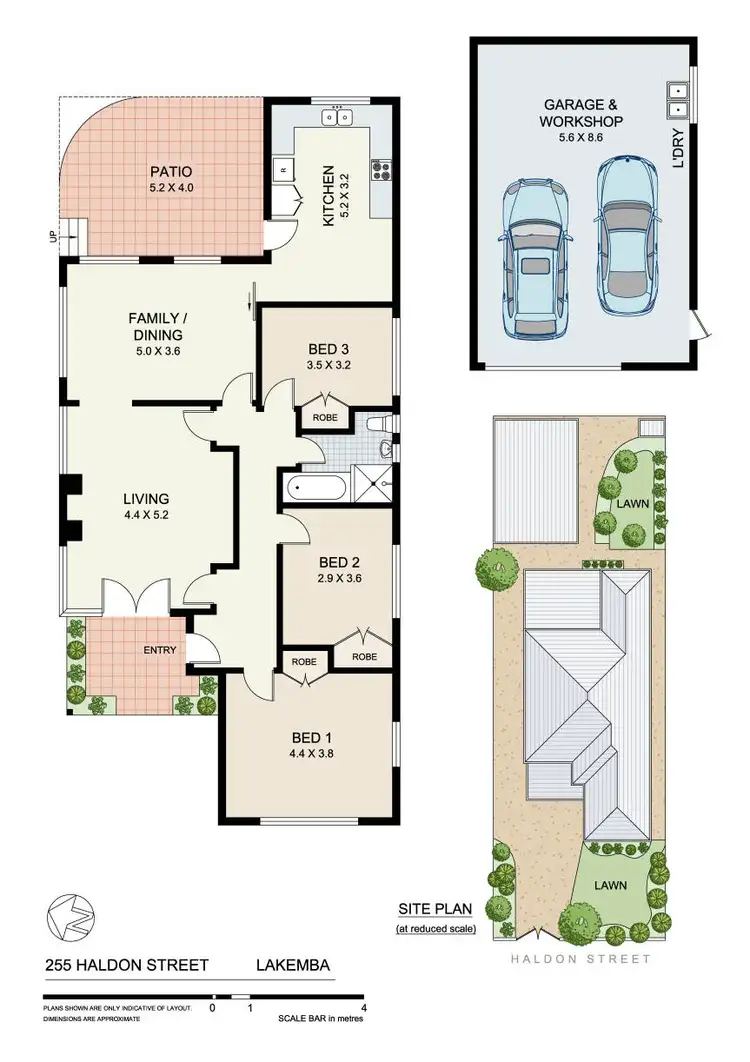 Floorplan of Homely house listing, 255 Haldon Street, Lakemba NSW 2195