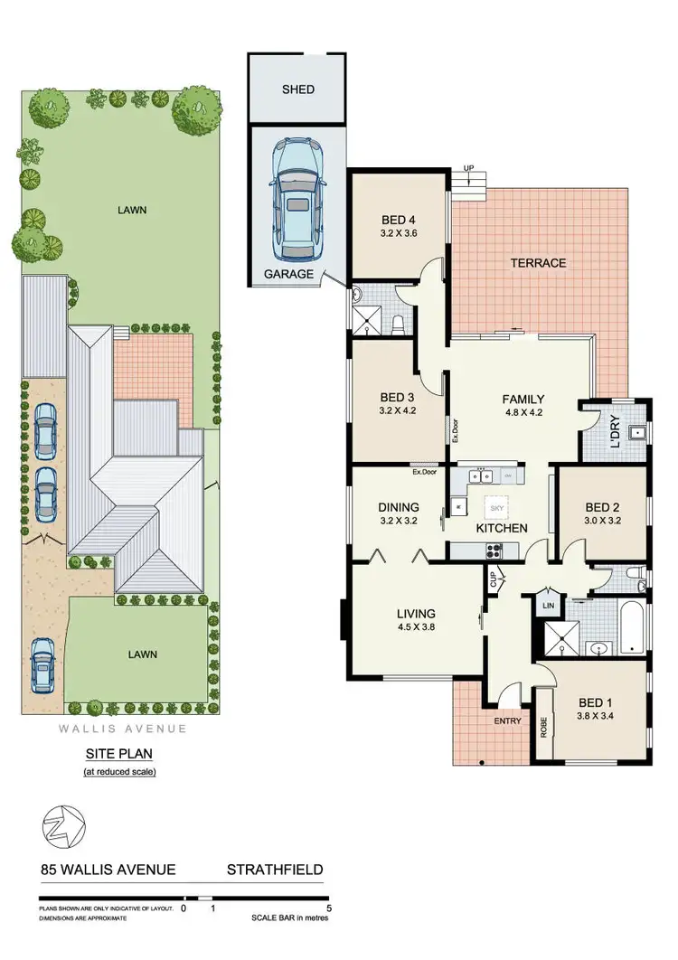 Floorplan of Homely house listing, 85 Wallis Avenue, Strathfield NSW 2135