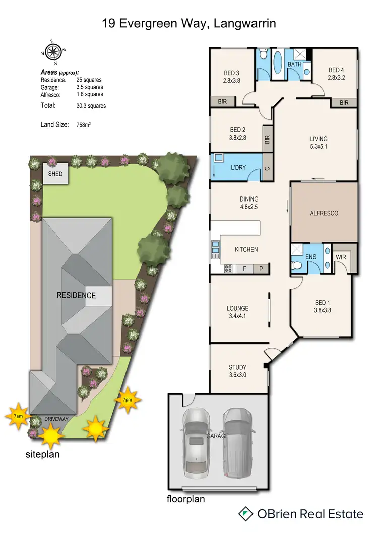 Floorplan of Homely house listing, 19 Evergreen Way, Langwarrin VIC 3910