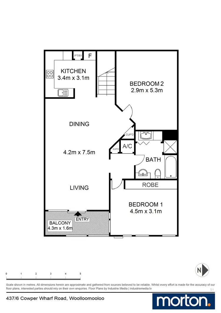 Floorplan of Homely apartment listing, 437/6 Cowper Wharf Roadway, Woolloomooloo NSW 2011