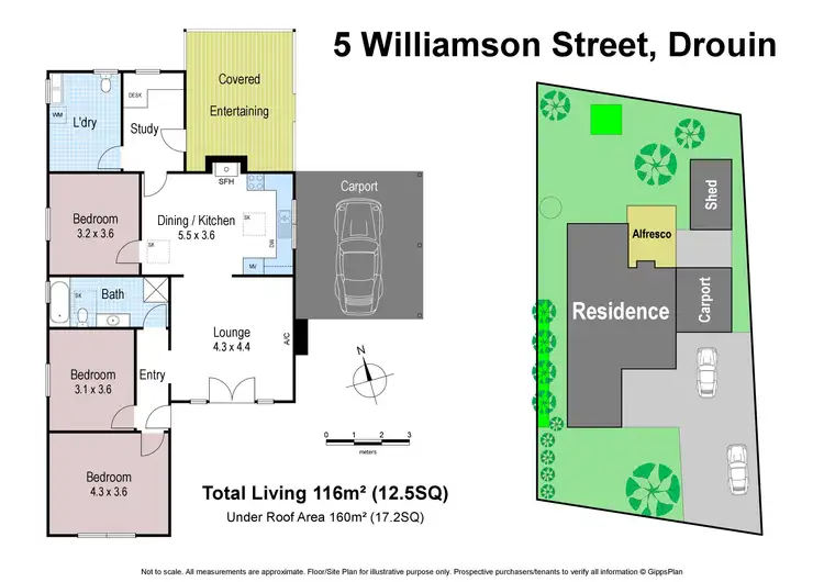 Floorplan of Homely house listing, 5 Williamson Street, Drouin VIC 3818