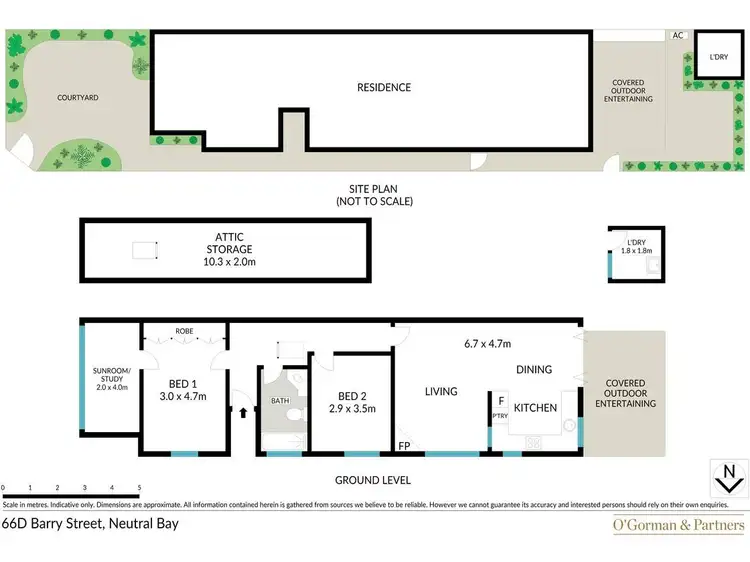 Floorplan of Homely semi-detached listing, 66D Barry Street, Neutral Bay NSW 2089