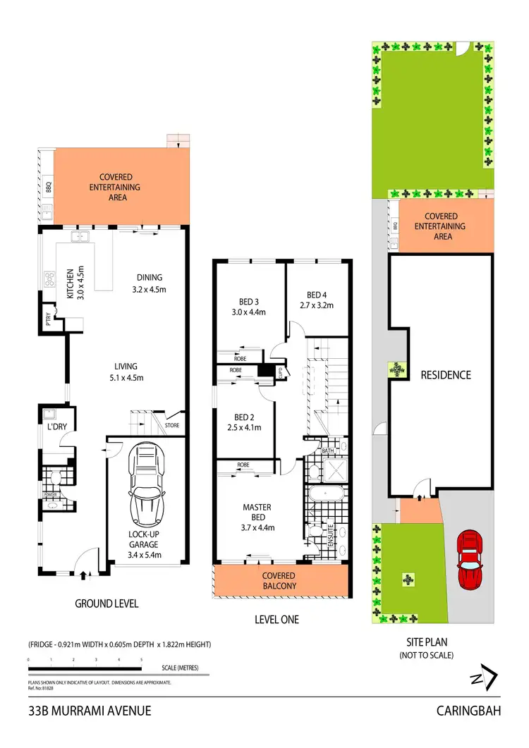 Floorplan of Homely semi-detached listing, 33b Murrami Avenue, Caringbah NSW 2229