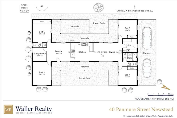 Floorplan of Homely house listing, 40 Panmure Street, Newstead VIC 3462