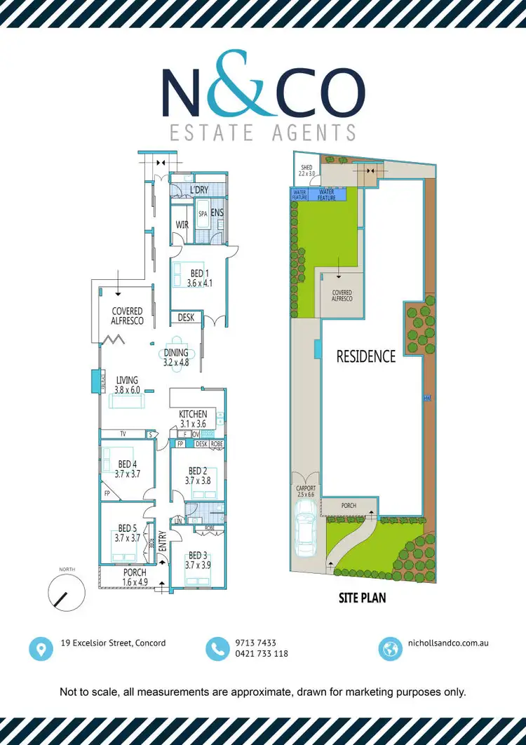 Floorplan of Homely house listing, 19 Excelsior Street, Concord NSW 2137