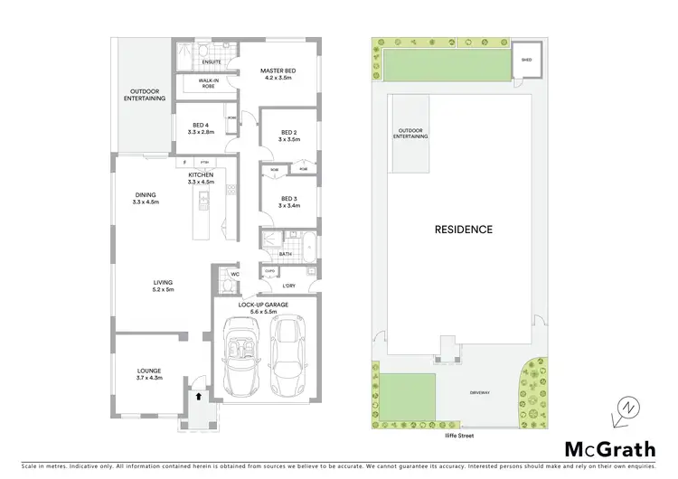 Floorplan of Homely house listing, 50 Iliffe Street, Bexley NSW 2207