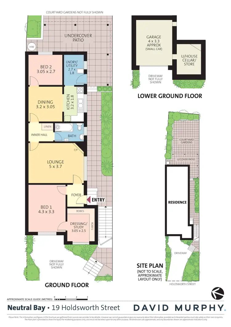 Floorplan of Homely semi-detached listing, 19 Holdsworth Street, Neutral Bay NSW 2089