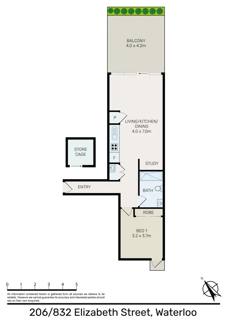 Floorplan of Homely apartment listing, 206/832 Elizabeth Street, Waterloo NSW 2017