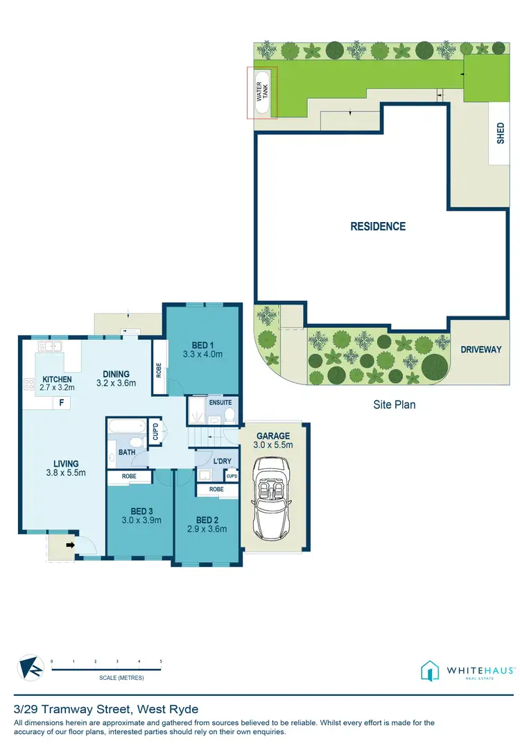Floorplan of Homely villa listing, 3/29 Tramway Street, West Ryde NSW 2114