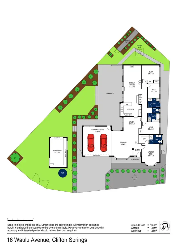 Floorplan of Homely house listing, 16 Waulu Avenue, Clifton Springs VIC 3222