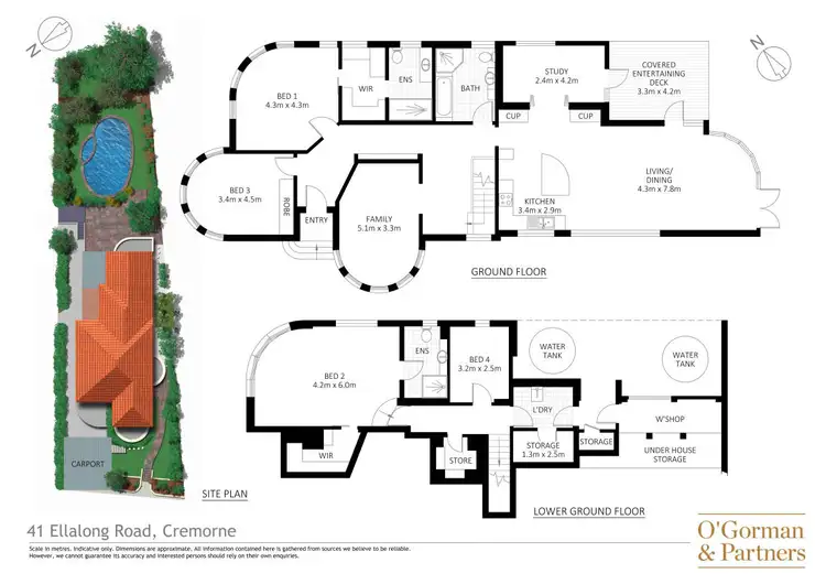 Floorplan of Homely house listing, 41 Ellalong Road, Cremorne NSW 2090