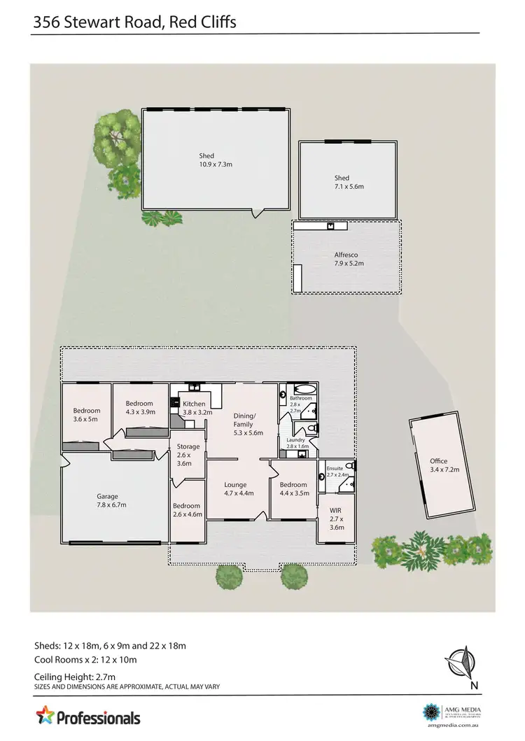 Floorplan of Homely rural property listing, 350 & 356 Stewart Road, Red Cliffs VIC 3496