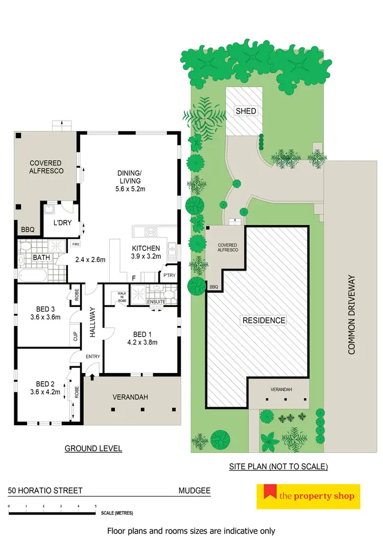 Floorplan of Homely house listing, 50 Horatio Street, Mudgee NSW 2850