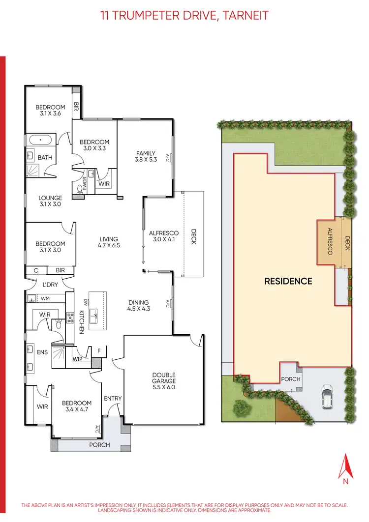 Floorplan of Homely house listing, 11 Trumpeter Drive, Tarneit VIC 3029