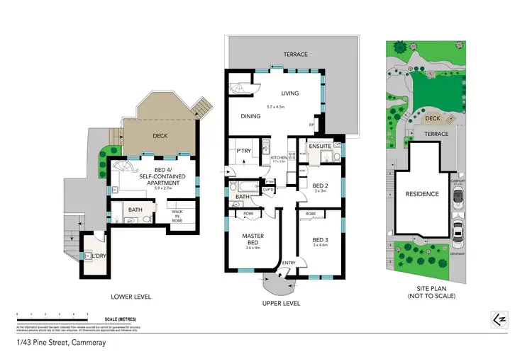 Floorplan of Homely house listing, 1/43 Pine Street, Cammeray NSW 2062