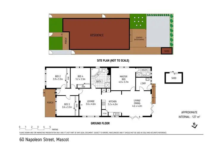 Floorplan of Homely house listing, 60 Napoleon Street, Mascot NSW 2020