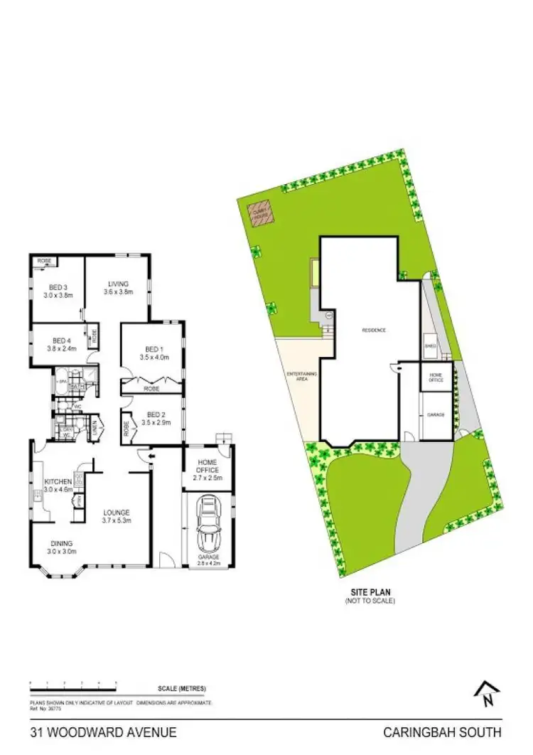 Floorplan of Homely house listing, 31 Woodward Avenue, Caringbah South NSW 2229