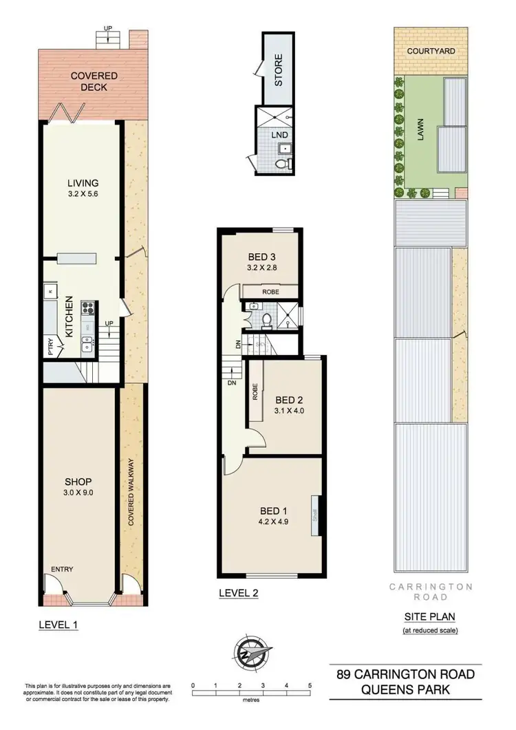 Floorplan of Homely terrace listing, 89 Carrington Road, Queens Park NSW 2022