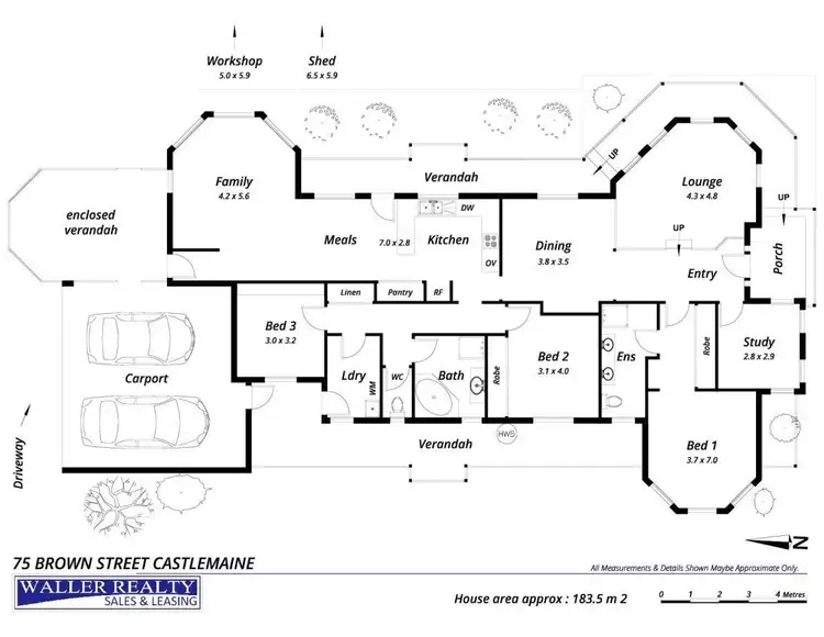 Floorplan of Homely house listing, 75 Brown Street, Castlemaine VIC 3450