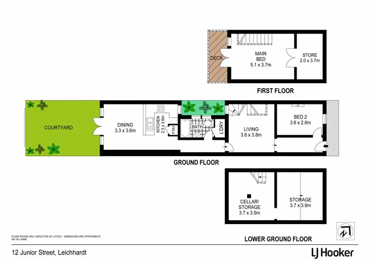 Floorplan of Homely semi-detached listing, 12 Junior Street, Leichhardt NSW 2040