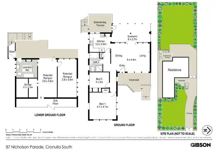 Floorplan of Homely house listing, 87 Nicholson Parade, Cronulla NSW 2230