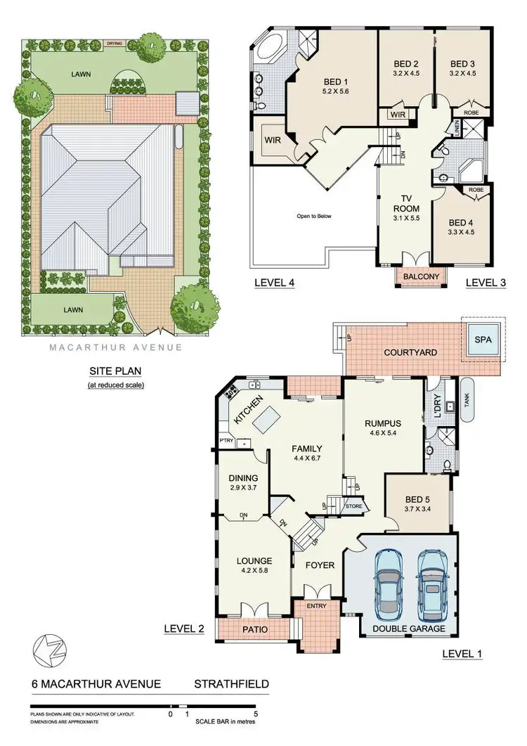 Floorplan of Homely house listing, 6 MacArthur Avenue, Strathfield NSW 2135