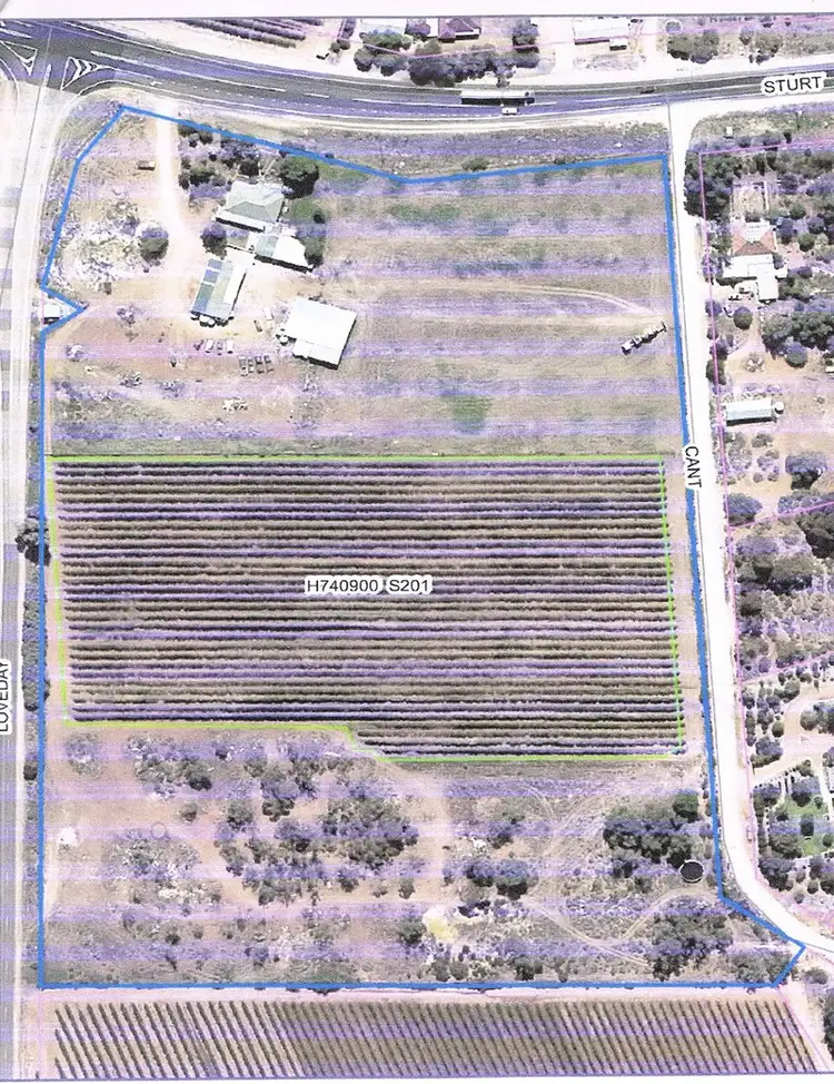 Floorplan of Homely rural property listing, 17100 Sturt Highway, Barmera SA 5345