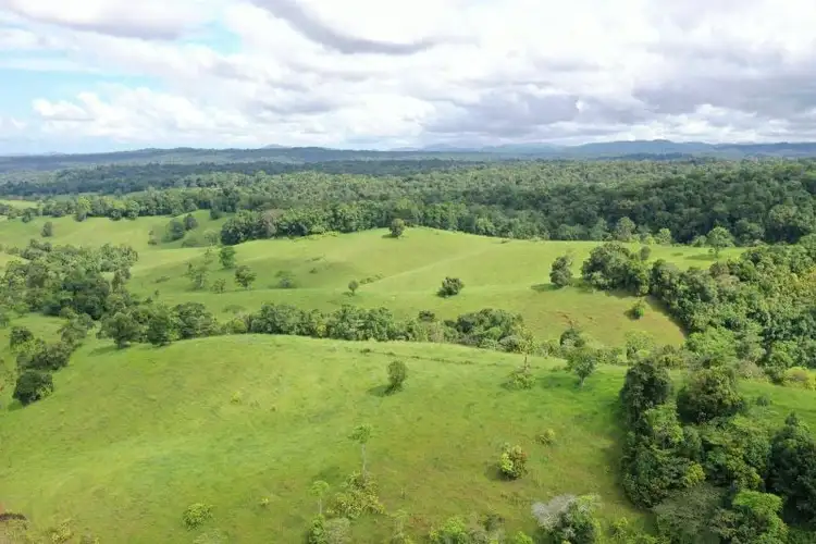 Floorplan of Homely rural property listing, 659 Middlebrook Road, Millaa Millaa QLD 4886