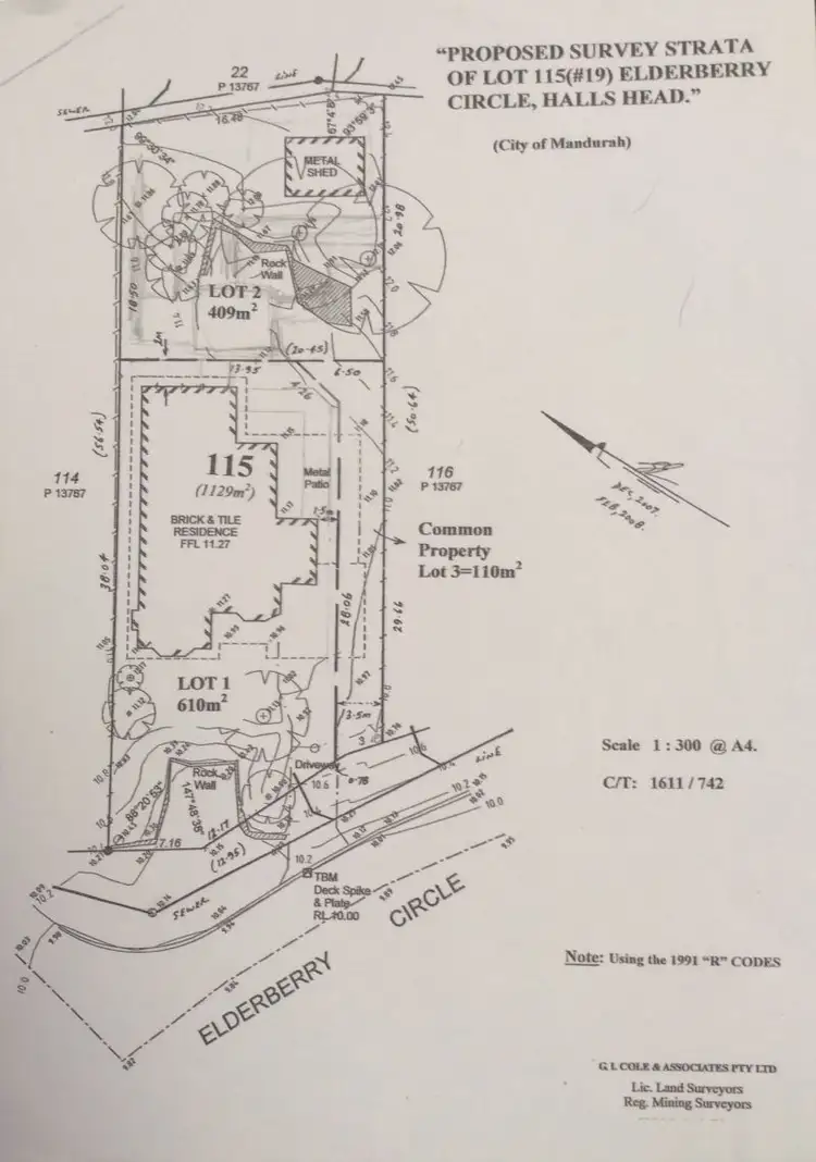Floorplan of Homely house listing, 19 Elderberry Circle, Halls Head WA 6210
