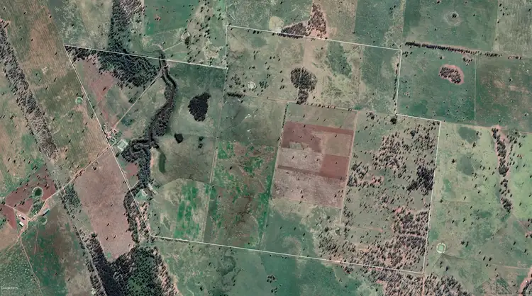 Floorplan of Homely rural property listing, Nerokewa/79 Reakes Road, Condobolin NSW 2877