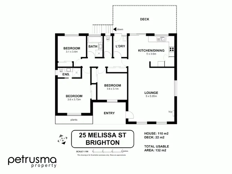 Floorplan of Homely house listing, 25 Melissa Street, Brighton TAS 7030