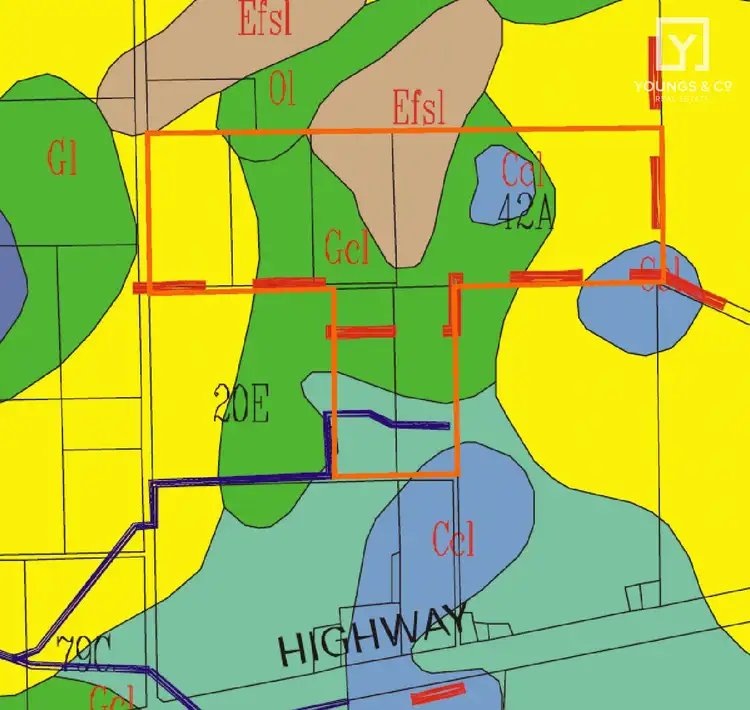Floorplan of Homely rural property listing, 665 Turnbull Rd, Ardmona VIC 3629