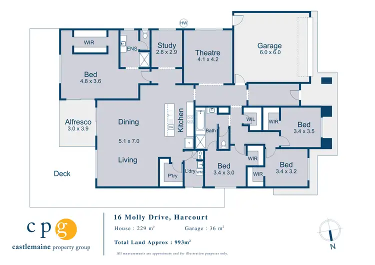 Floorplan of Homely house listing, 16 Molly Drive, Harcourt VIC 3453