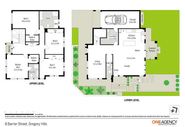 Floorplan of Homely semi-detached listing, 8 Barrier Street, Gregory Hills NSW 2557