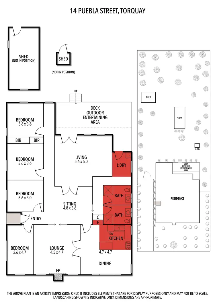 Floorplan of Homely house listing, 14 Puebla Street, Torquay VIC 3228