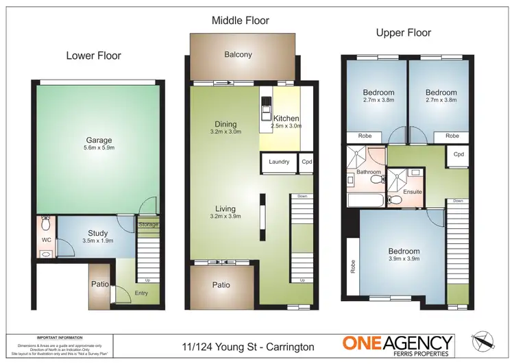 Floorplan of Homely townhouse listing, 11/124 Young Street, Carrington NSW 2294