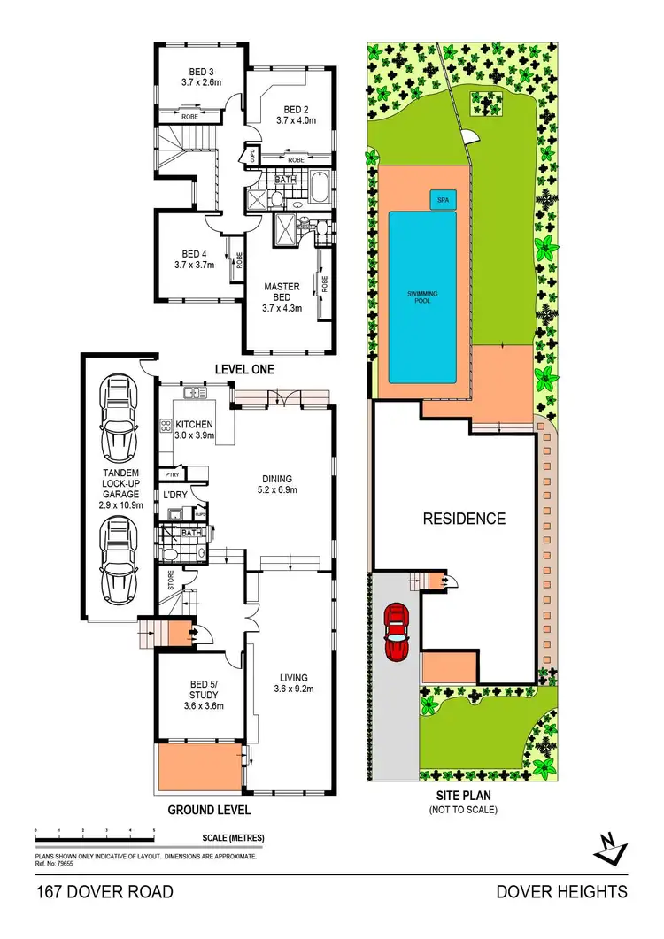 Floorplan of Homely house listing, 167 Dover Road, Dover Heights NSW 2030