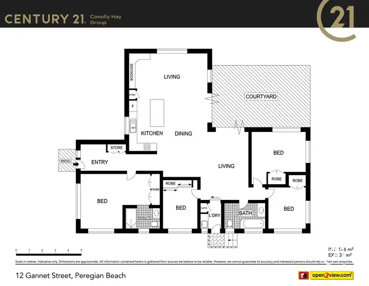 Floorplan of Homely house listing, 12 Gannet Street, Peregian Beach QLD 4573