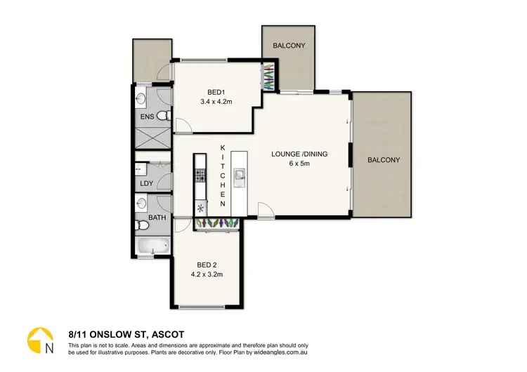 Floorplan of Homely unit listing, 8/11 Onslow St, Ascot QLD 4007