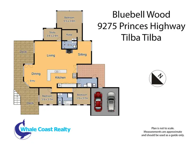 Floorplan of Homely rural property listing, 9275 Princes Highway, Tilba Tilba NSW 2546