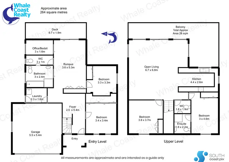 Floorplan of Homely house listing, 58 Sunset Boulevard, Kianga NSW 2546