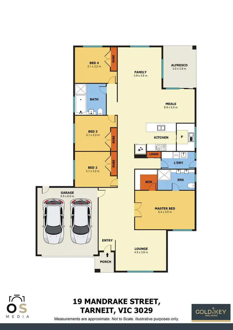 Floorplan of Homely house listing, 19 Mandrake Street, Tarneit VIC 3029