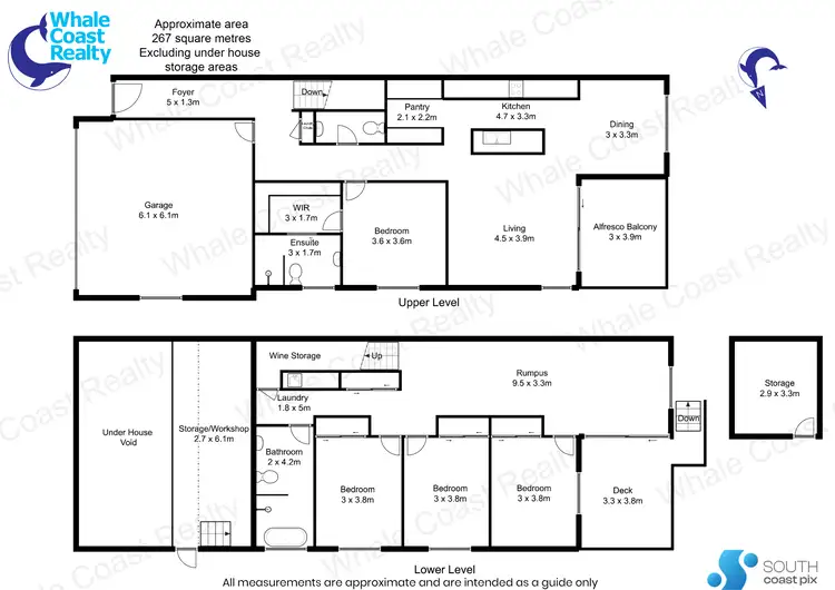 Floorplan of Homely semi-detached listing, 39B Warbler Crescent, North Narooma NSW 2546