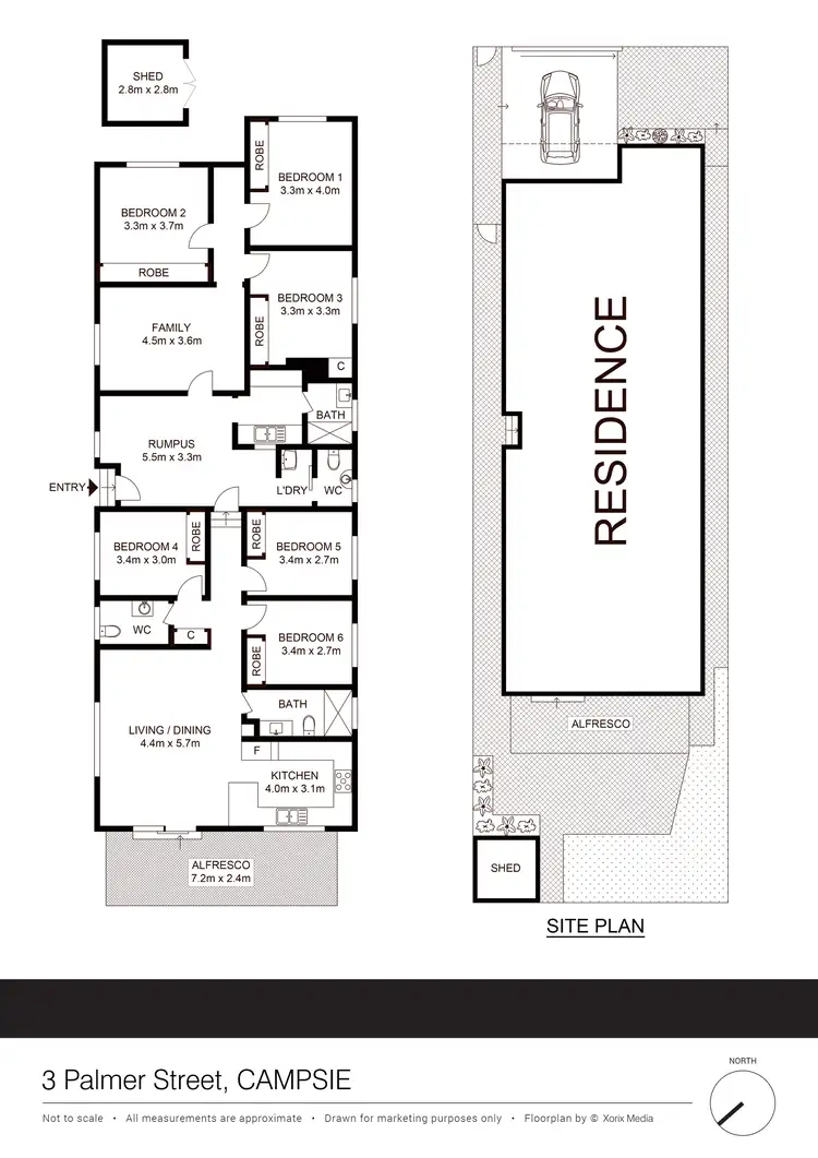 Floorplan of Homely house listing, 3 Palmer Street, Campsie NSW 2194