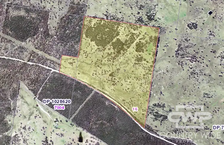 Floorplan of Homely rural property listing, LOT 16, 18, - Emmaville Rd, Emmaville NSW 2371